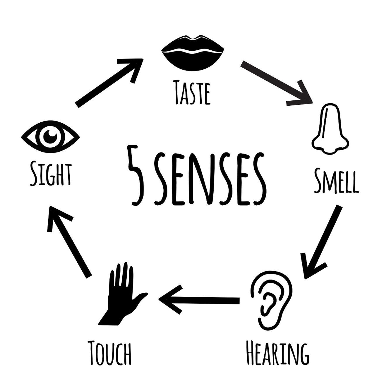Zmysły w języku angielskim – senses