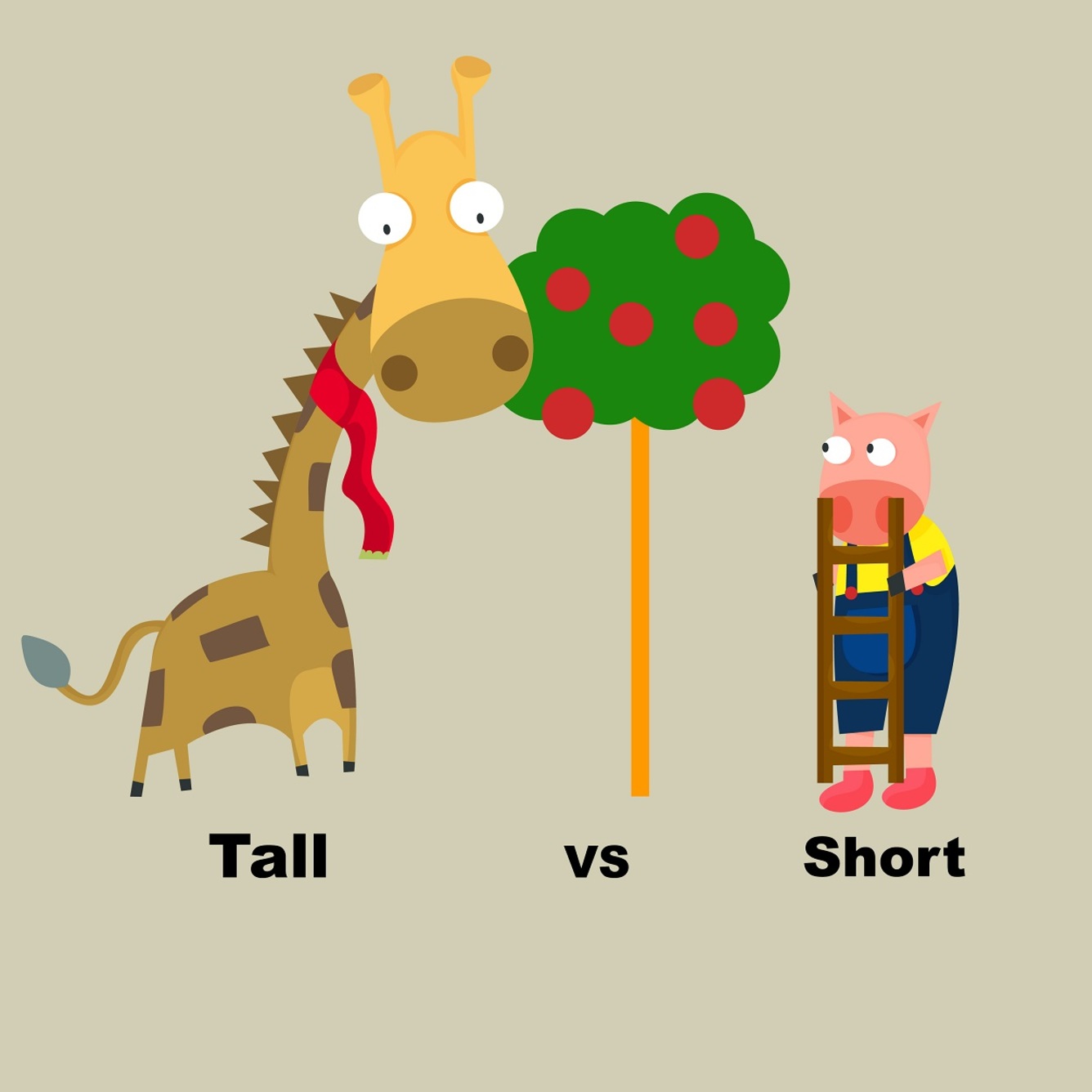 Poznaj różnice w użyciu wyrażeń tall, high, low, short