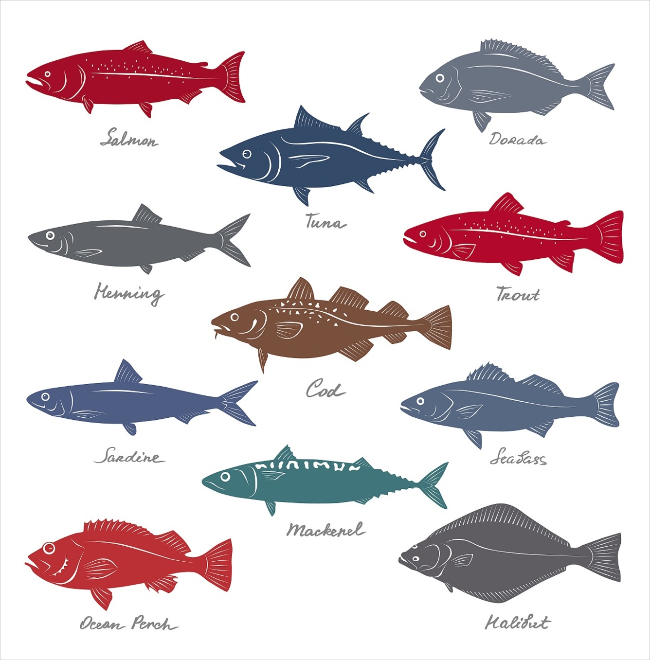 Salmon, eel, mackerel... – ryby po angielsku